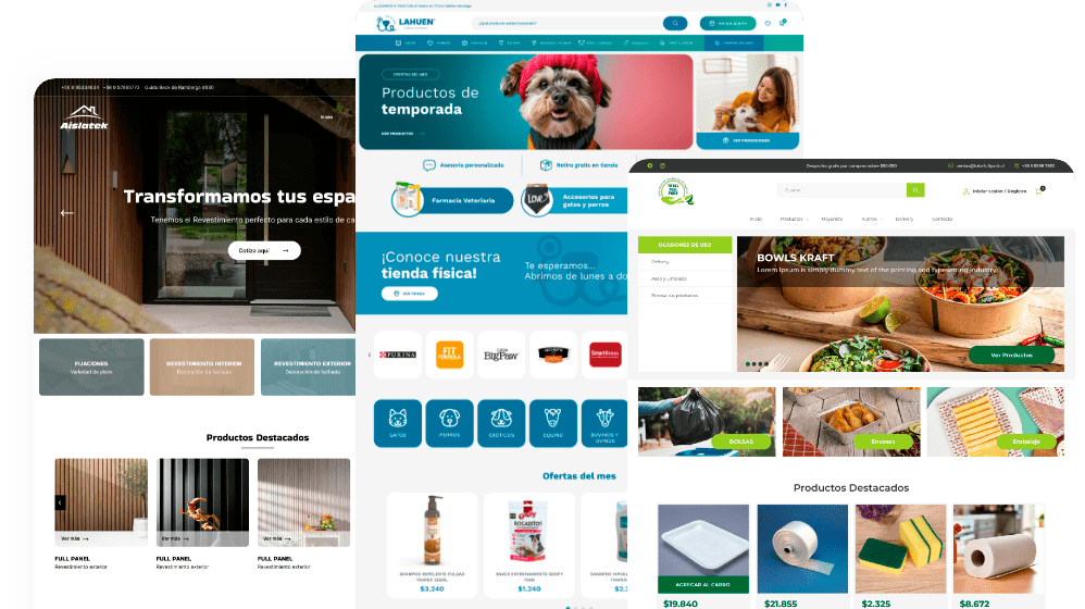 portafolio de softem diseño de páginas web en Antofagasta
